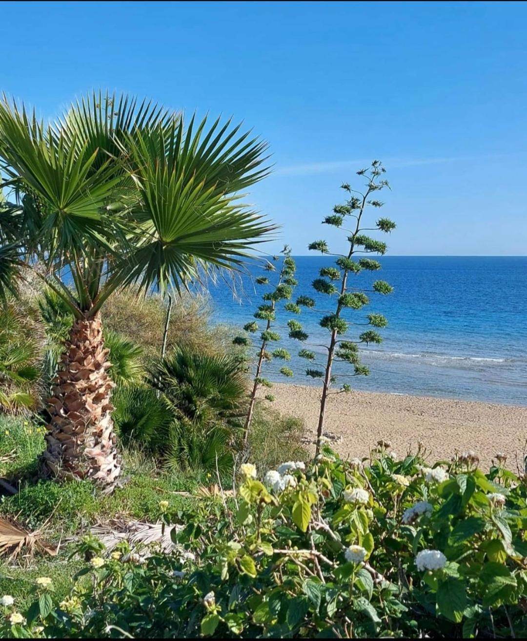 Villa sul mare DON TOTO' Avola Esterno foto